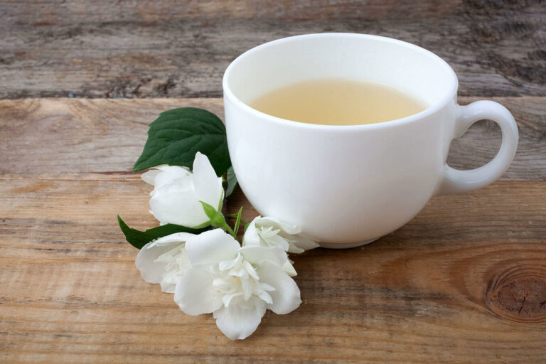 23 Best Jasmine Tea You Must Buy (2022 Updated Reviews Guide)