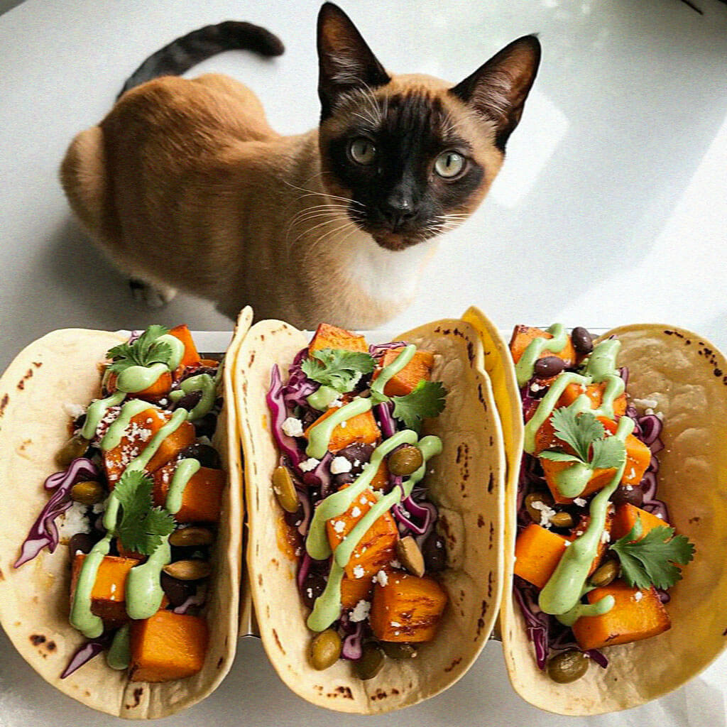 A curious cat observes three colorful vegetable tacos adorned with cilantro and creamy sauce on a bright, reflective surface.