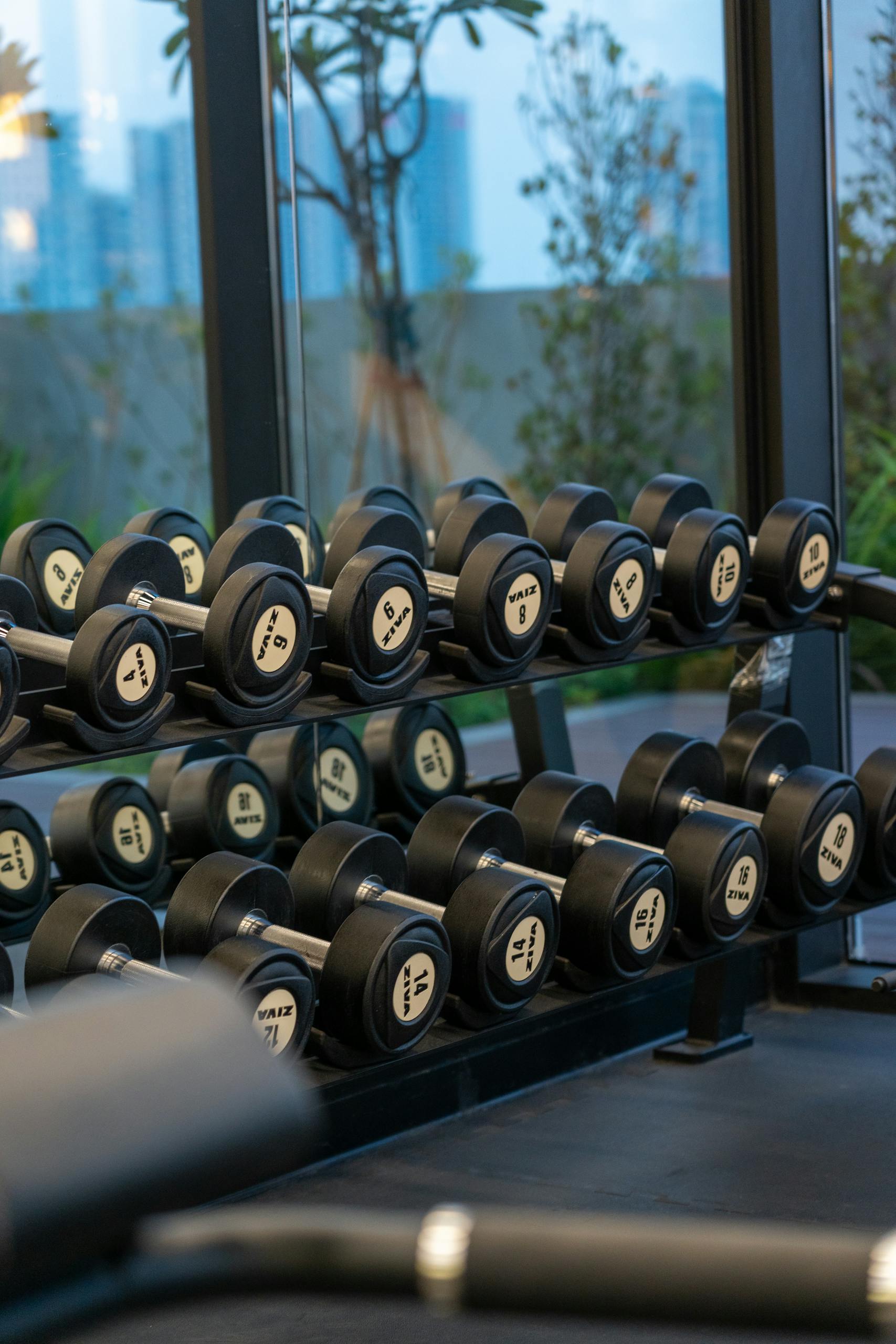 Dumbbell rack in a modern gym with cityscape view in Dubai, UAE.